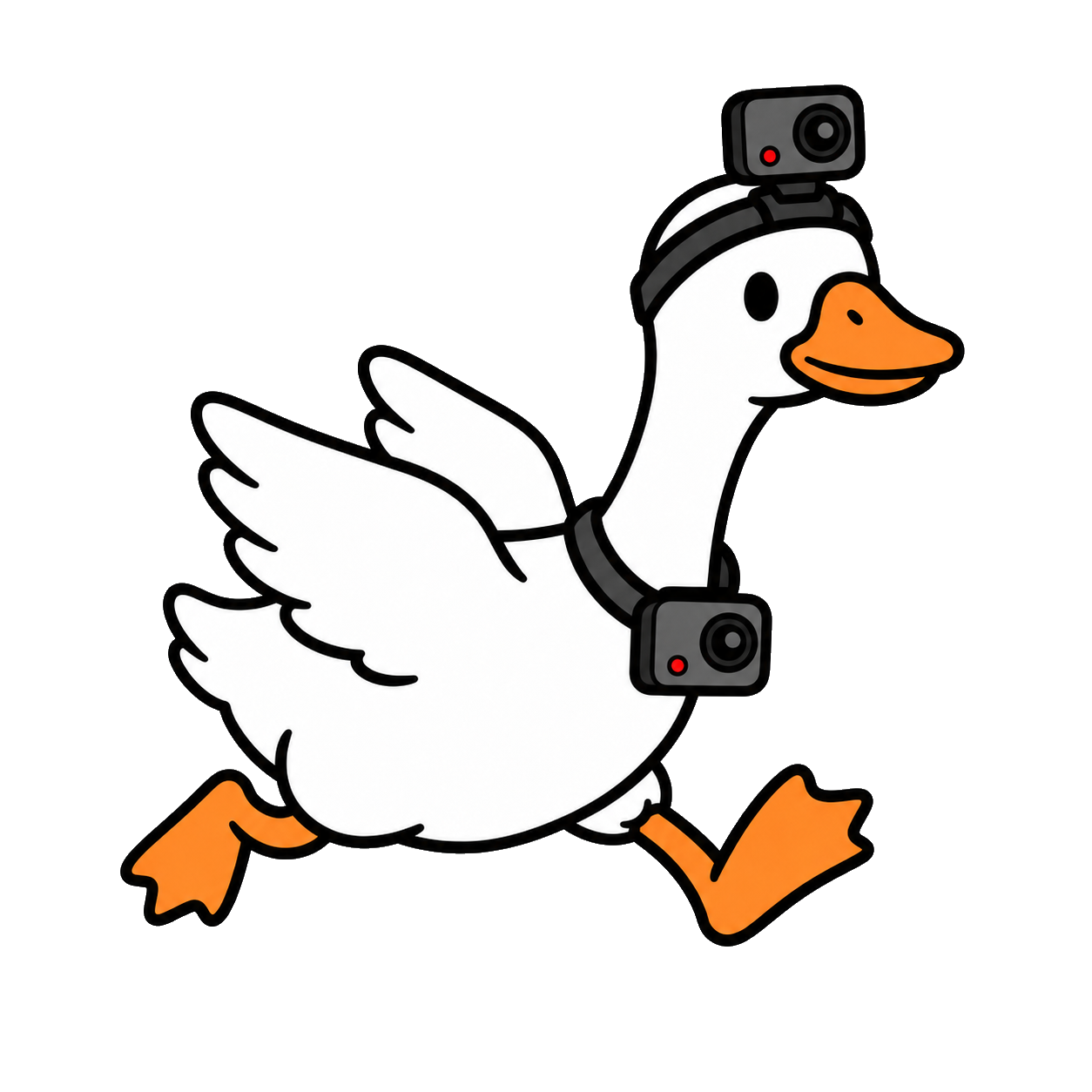 An Adhonk goose wearing head-mounted and chest-mounted cameras
